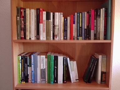 Salvo por los cuentos de mis hijos, ya no quedan libros en mi salón. Desde ayer los tengo repartidos entre el trastero, el maletero del coche y un armario de mi instituto. El espíritu de los tiempos, unido a las alergias de mi mujer, han acabado por imponerse, incluso, en los