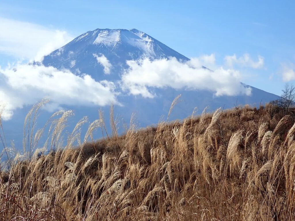 #石割山 #富士山 #自然の美 #MountainScenery #MountFuji instagr.am/p/C1SyZ7gS0ro/