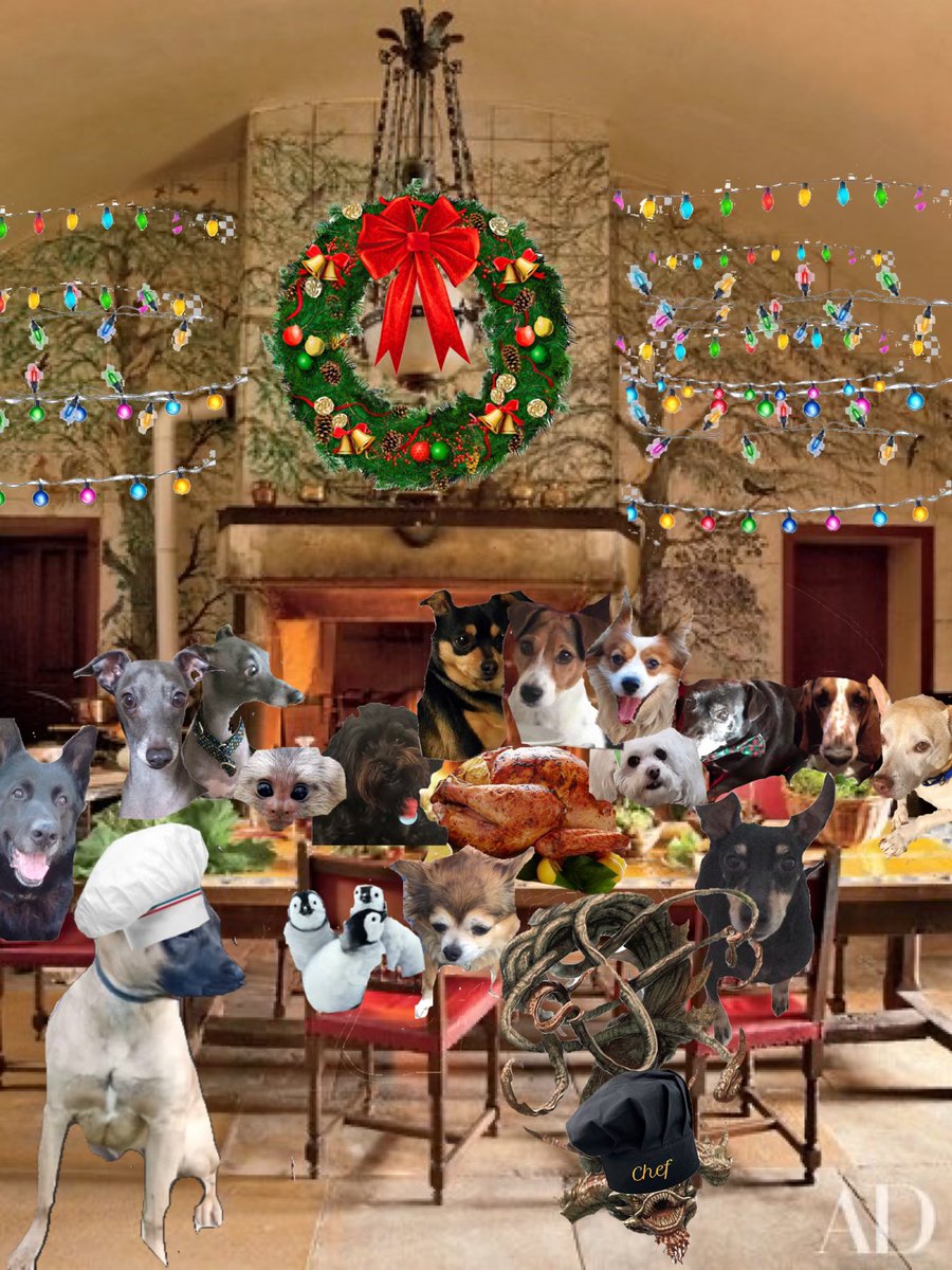 Happy Christmas to all and to all a good night! @DangerDawgz #DangerDawgz @dawgz_fanclub