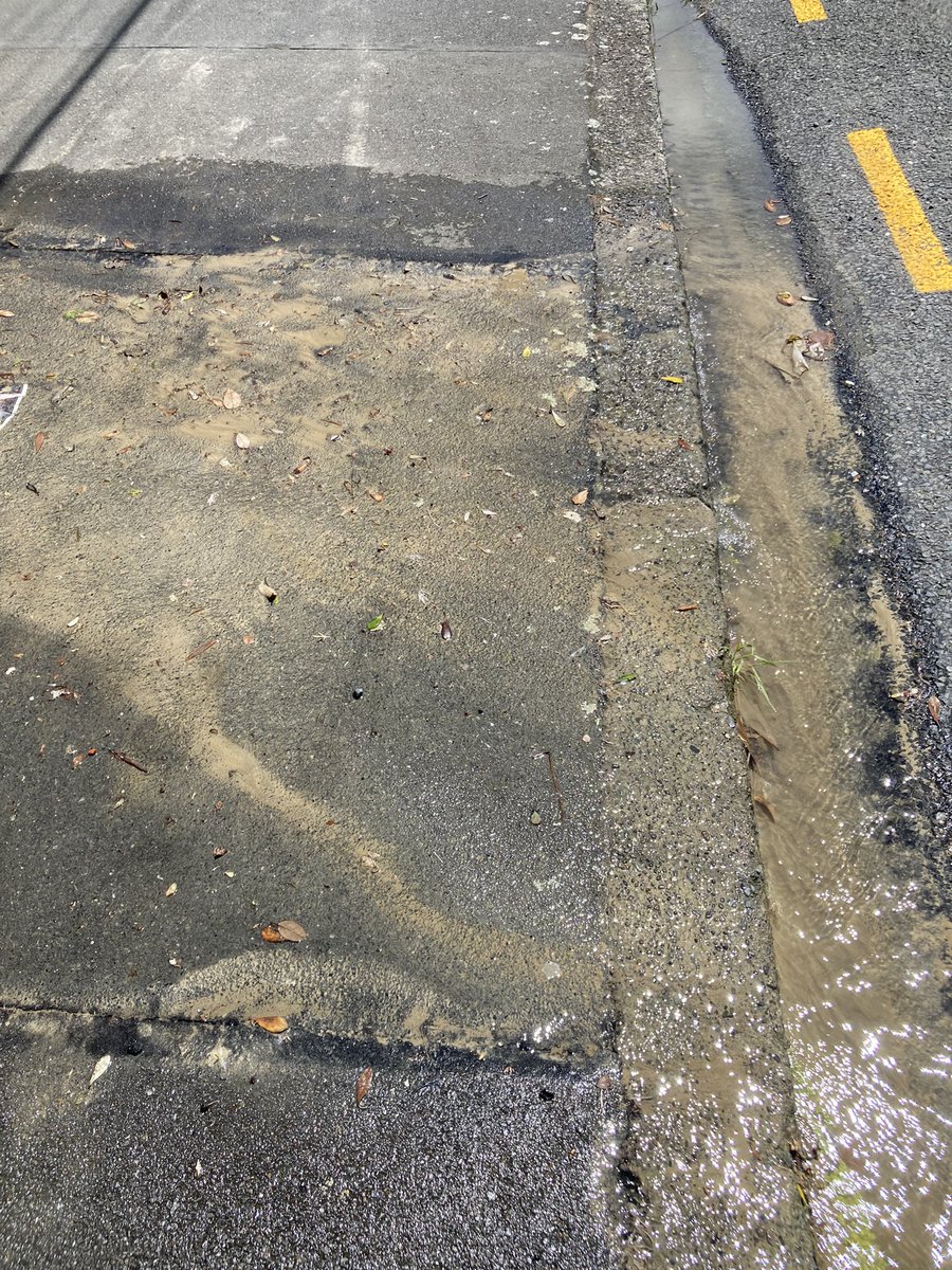 Only in Wellington could the footpath leak