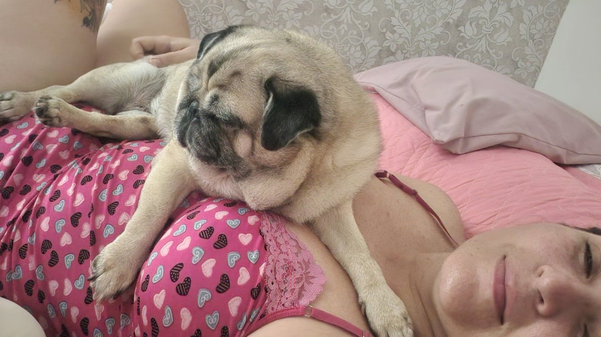_gabridela's tweet photo. @itimaliasof Minha véinha Malu (ainda meio dormindo) subindo em mim logo cedo preu ir colocar comida pra ela https://t.co/2MpNrNdOze