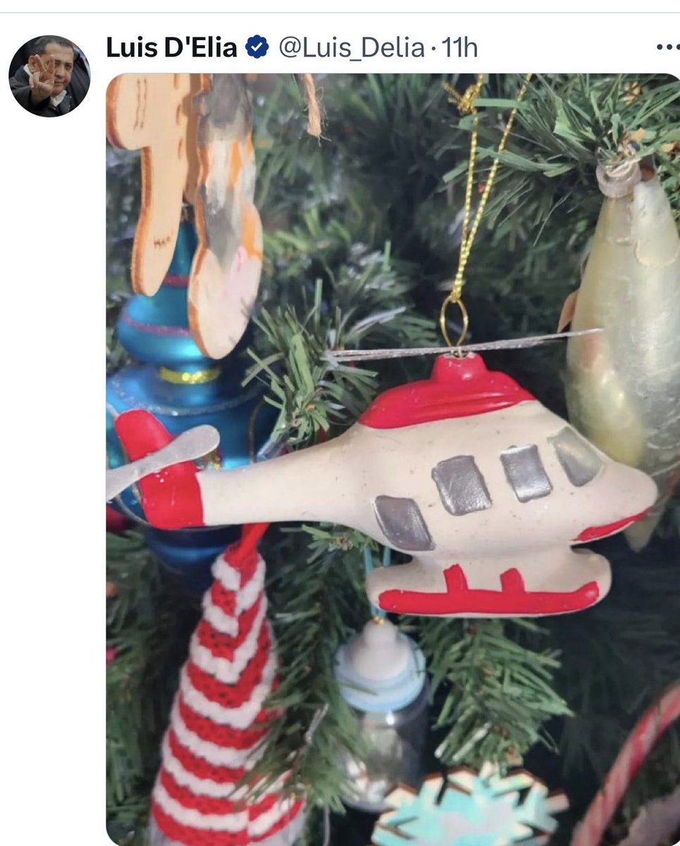 gracielita_g's tweet image. Cuando pensas que ya no se puede ser más pelotudo, aparece el marrón golpista de D’Elia decorando el árbol con un helicóptero… 🤦🏻‍♀️