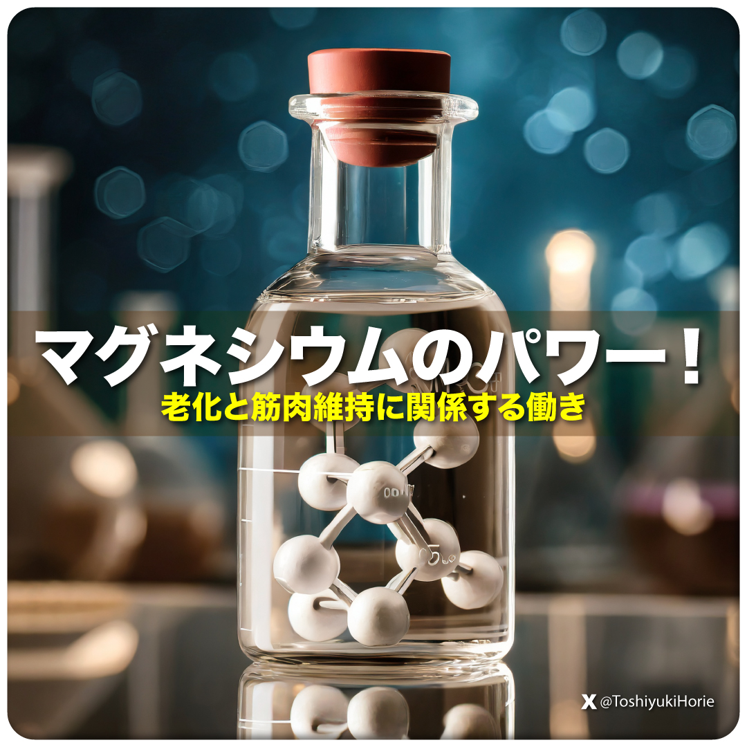 ToshiyukiHorie's tweet photo. マグネシウムのパワー！：老化と筋肉維持に関係する働き

マグネシウムは、私たちの健康維持に不可欠な微量ミネラルであり、多くの人がその重要性を見落としがちです。

このミネラルは、生命を支える約800の生化学反応と、約300以上の酵素反応に関与し、エネルギー生成、DNAの修復と合成、筋肉の収縮とリラックスを助けています。

��かし、私たちの多くは十分なマグネシウムを摂取していません。

豊富なマグネシウム源には、緑葉野菜、ナッツ、種子、豆類があります。

マグネシウムは骨の健康にも寄与し、加齢に伴う筋肉量の減少や骨の弱化を防ぐのに役立ちます。

適切な摂取は、健康的なライフスタイルを維持するための鍵といえますね。

最新の総説では、マグネシウムが人間の健康、特に加齢に伴う筋肉の機能維持において不可欠であることをいろいろな角度から説明してくれています。

また老化プロセス中におけるマグネシウムの役割のさらなる理解は、健康な老化を支援する新たな戦略の開発につながる可能性があります。

💊主要なポイント:

1. 加齢と生理的変化: 

加齢は心臓出力の減少、血圧の上昇、骨と筋肉量の減少など、多様な生理的変化を伴います。これらの変化は個人によって異なり、健康な老化において重要な役割を果たします。

2. マグネシウムの重要性: 

マグネシウムは約800の生化学反応に関与する必須ミネラルです。この元素は細胞の様々な反応と器官機能において安定化因子として作用し、筋肉健康に直接影響を及ぼします。

3. 筋肉の健康: 

マグネシウムはエネルギー代謝、タンパク質合成、抗炎症・抗酸化活動、筋肉収縮、電解質の平衡など、筋肉の健康において重要な役割を果たします。

4. 加齢とマグネシウムの関係: 

加齢に伴い、体内のマグネシウムが減少する傾向があります。これは食事摂取の低下、吸収機能の低下、及びその他の要因によるものです。

5. マグネシウムの補給: 

マグネシウムは食事から摂取する必要があります。適切な摂取は健康な老化、特に筋肉機能の維持に重要です。

巷では何を食べればよいか、どのサプリメント��摂ればよいか、的な話にとどまる傾向にあります。

このブログでは、各項を独自に掘り下げたい人のための入り口を紹介してみます。

💊1. 加齢と生理的変化:

加齢と生理的変化におけるマグネシウムの役割に関する研究は、このミネラルが健康な老化過程で重要な役割を果たすことを示しています。

以下はその主要な発見です。

1.1. テロメアの保守: 

マグネシウムはテロメアの構造、完全性、および機能を調節する上で重要な役割を果たし、加齢や生理的変化の間にテロメアの構造と機能を維持するのに不可欠です（Maguire et al., 2018）。

1.2. 神経活動とシナプス可塑性: 

加齢に関連した神経伝達物質の放出の欠陥、神経の興奮性、およびシナプス可塑性の形態（例えば、シナプス伝達の長期的な抑制）において、マグネシウムが関与しています（Billard, 2006）。

1.3. 炎症と酸化ストレス: 

加齢に伴う慢性的なマグネシウム欠乏は、炎症、酸化ストレス、加齢過程および多くの加齢関連疾患との相互作用を説明するのに役立つかもしれません（Barbagallo & Dominguez, 2010）。

1.4. 筋肉と脳の健康: 

マグネシウムは脳、心臓、骨格筋などの重要な生理機能において重要な役割を果たし、前置症状、片頭痛、うつ病、冠動脈疾患、喘息の治療において補給が有益であることが示されています（de Baaij, Hoenderop, & Bindels, 2015）。

1.5. 疾病���防と治療: 

マグネシウムはATP代謝、DNAおよびRNAの合成、生殖、タンパク質合成において重要であり、多くの疾患の予防と治療において重要な役割を果たします（Gröber, Schmidt, & Kisters, 2015）。

💊2. マグネシウムの重要性: 

マグネシウムは約800の生化学反応に関与する必須ミネラルです。

以下はその主な機能と重要性です。

2.1. 生化学反応の調節: 

マグネシウムは代謝生化学、核酸合成、受容体結合、イオンフラックスなどの重要な生理過程を調節するために不可欠です（Sharma, Chung, & Vizcaychipi, 2014）。

2.2. 酵素系の調整: 

マグネシウムは、タンパク質合成、筋肉と神経機能、血糖コントロール、血圧調節を含む様々な生化学反応を規制する300以上の酵素系の補因子として機能します（Batta, 2017）。

2.3. 循環系の調節: 

マグネシウムは、血��の健全性と完全性の調節に関与する多くの生化学反応に重要な役割を果たしています（Touyz, 2008）。

2.4. 細胞の代謝経路: 

マグネシウムは、多くの代謝経路の生化学機能に必要であり、300以上の酵素反応の補因子として機能します（Schwalfenberg & Genuis, 2017）。

2.5. エネルギー代謝と生体分子の合成: 

マグネシウムは、エネルギー代謝、タンパク質およびDNAの合成、および神経組織と心臓組織の電気ポテンシャルの維持に必須です（Arancibia-Hernández, Hernández-Cruz, & Pedraza-Chaverri, 2022）。

💊3. 筋肉の健康: 

マグネシウムは筋肉の正常な機能と健康の維持に重要な役割を果たしています。

以下はその主な機能と重要性です。

3.1. 筋収縮と代謝: 

マグネシウムは筋収縮に不可欠であり、エネルギーを要する代謝過程、タンパク質合成、神経伝導に重要です（Laires, Monteiro, & Bicho, 2004）。

3.2. 運動パフォーマンス: 

マグネシウムは、運動パフォーマンスを向上させる可能性があり、グルコースの利用性を高め、乳酸の蓄積を減らし、筋力を増加させることが示されています（Zhang et al., 2017）。

3.3. 神経筋伝導と血糖コントロール: 

マグネシウムは筋収縮、神経筋伝導、血糖コントロール、血圧調節において重要な役割を果たします（Šoher & Banjari, 2021）。

3.4. 筋再生と筋力保持: 

加齢マウスでのマグネシウム補給は、筋再生を促進し、筋肉量と筋力を維持することが示されています（Liu et al., 2021）。

3.5. 筋肉機能の維持: 

マグネシウムは骨格筋の健康を維持するための重要な生理的役割を果たします（de Baaij, Hoenderop, & Bindels, 2015）。

💊4. 加齢とマグネシウムの関係

加齢とマグネシウムの関係に関する研究は、年齢が上がるにつれて体内のマグネシウムの状態が変化することを示しています。

以下はその主要な発見です。

4.1. 血清マグネシウムレベル: 

大規模な成人研究では、年齢と血清リン、カルシウム、アルブミン、総コレステロールとの間に正の相関が認められています（Randell et al., 2008）。

4.2. テストステロン欠乏との関係: 

中年および高齢男性において、低い血清マグネシウムレベルは、全体的なテストステロン欠乏、���脈性高血圧、糖尿病、代謝症候群の発症に寄与する可能性があります（Rotter et al., 2015）。

4.3. 骨関節炎との関連: 

高齢者におけるマグネシウムの状態は加齢とともに悪化し、骨関節炎との関連が指摘されています（Kuang et al., 2021）。

4.4. 代謝障害との関連: 

高齢男性において、異常なマグネシウムレベルは、糖尿病、高血圧、うつ症状などの代謝障害と関連しています（Rotter et al., 2021）。

4.5. 筋肉性能との関連: 

高齢者における血清マグネシウム濃度は、筋肉の性能と独立して関連しています（Dominguez et al., 2006）。

💊5. マグネシウムの補給: 

マグネシウムの適切な摂取は健康な老化、特に筋肉機能の維持に重要です。

マグネシウムは食事やサプリメントから摂取する必要があります。

以下はその主要な理由です。

5.1. 神経筋機能���維持: 

マグネシウムは通常の神経筋機能、心臓リズム、血圧、免疫システム、骨の完全性、血糖レベルの維持に役立ちます（Volpe, 2015）。

5.2. 代謝反応の補因子: 

マグネシウムは、膜の安定性、神経筋、心血管、免疫、ホルモン機能の調節、および多くの代謝反応の重要な補因子として機能します（Bohl & Volpe, 2002）。

5.3. エネルギー代謝と骨代謝: 

マグネシウムはエネルギー代謝、電解質の恒常性、骨代謝において重要な役割を果たし、筋収縮や神経筋伝導などの基本的な機能を調節します（Šoher & Banjari, 2021）。

5.4. 抗酸化力の増加: 

マグネシウムは加齢による自由基損傷に対する抗酸化力の閾値を減少させることで、健康な老化に寄与します（Barbagallo & Dominguez, 2010）。

5.5. 筋肉量の維持: 

マグネシウムの摂取は、中高年の筋肉量と正の���連があり、最適な筋肉健康に重要です（Hayhoe et al., 2018）。

---

総括すると、マグネシウムは人体のシステム運営に深く関わっており、必要不可欠なミネラルといえます。

マグネシウムの摂取だけでなくその代謝の改善を考えたいところですね。

この記事がライフスタイル改善の一助となれば幸いです。

またお友達にもこの記事を教えてあげて下さい。

（出典）

1. Souza, Ana C., Andrea R. Vasconcelos, Denise D. Dias, Geovana Komoni, and José J. Name. "The Integral Role of Magnesium in Muscle Integrity and Aging: A Comprehensive Review." Nutrients 15, no. 24 5127. Accessed December 17, 2023. https://t.co/O9IHk9b7CS.

2. Maguire, D., Neytchev, O., Talwar, D., McMillan, D., & Shiels, P. (2018). Telomere Homeostasis: Interplay with Magnesium. *International Journal of Molecular Sciences*, 19. doi:10.3390/ijms19010157.

3. Billard, J. (2006). Ageing, hippocampal synaptic activity and magnesium. *Magnesium research*, 19(3), 199-215. doi:10.1684/MRH.2006.0063.

4. Barbagallo, M., & Dominguez, L. (2010). Magnesium and aging. *Current pharmaceutical design*, 16(7), 832-9. doi:10.2174/138161210790883679.

5. de Baaij, J. H., Hoenderop, J. G., & Bindels, R. J. (2015). Magnesium in man: implications for health and disease. *Physiological reviews*, 95(1), 1-46. doi:10.1152/physrev.00012.2014.

6. Gröber, U., Schmidt, J., & Kisters, K. (2015). Magnesium in Prevention and Therapy. *Nutrients*, 7, 8199-8226. doi:10.3390/nu7095388.

7. Sharma, P., Chung, C., & Vizcaychipi, M. P. (2014). Magnesium: The Neglected Electrolyte? A Clinical Review. Pharmacology & Pharmacy, 05, 762-772. doi:10.4236/PP.2014.57086.

8. Batta, A. (2017). MAINTENANCE OF MILIEU INTERIEUR BY MAGNESIUM. doi:10.22192/IJCRMS.2017.03.12.004.

9. Touyz, R. M. (2008). Transient receptor potential melastatin 6 and 7 channels, magnesium transport, and vascular biology: implications in hypertension. American journal of physiology. Heart and circulatory physiology, 294(3), H1103-18. doi:10.1152/ajpheart.00903.2007.

10. Schwalfenberg, G. K., & Genuis, S. J. (2017). The Importance of Magnesium in Clinical Healthcare. Scientifica, 2017. doi:10.1155/2017/4179326.

11. Arancibia-Hernández, Y. L., Hernández-Cruz, E. Y., & Pedraza-Chaverri, J. (2022). Magnesium (Mg2+) Deficiency, Not Well-Recognized Non-Infectious Pandemic: Origin and Consequence of Chronic Inflammatory and Oxidative Stress-Associated Diseases. Cellular physiology and biochemistry : international journal of experimental cellular physiology, biochemistry, and pharmacology, 57 S1, 1-23. doi:10.33594/000000603.

12. Laires, M. J., Monteiro, C., & Bicho, M. (2004). Role of cellular magnesium in health and human disease. *Frontiers in bioscience : a journal and virtual library*, 9, 262-76. doi:10.2741/1223.

13. Zhang, Y., Xun, P., Wang, R., Mao, L., & He, K. (2017). Can Magnesium Enhance Exercise Performance? *Nutrients*, 9. doi:10.3390/nu9090946.

14. Šoher, L., & Banjari, I. (2021). Public Health Perspective on Magnesium. doi:10.24141/1/7/2/10.

15. Liu, Y., Wang, Q., Zhang, Z., Fu, R., Zhou, T., Long, C., He, T., Yang, D., Li, Z., & Peng, S. (2021). Magnesium supplementation enhances mTOR signaling to facilitate myogenic differentiation and improve aged muscle performance. *Bone*. doi:10.1016/j.bone.2021.115886.

16. de Baaij, J. H., Hoenderop, J. G., & Bindels, R. J. (2015). Magnesium in man: implications for health and disease. *Physiological reviews*, 95(1), 1-46. doi:10.1152/physrev.00012.2014.

17. Randell, E., Mathews, M., Gadag, V., Zhang, H., & Sun, G. (2008). Relationship between serum magnesium values, lipids and anthropometric risk factors. *Atherosclerosis*, 196(1), 413-9. doi:10.1016/J.ATHEROSCLEROSIS.2006.11.024.

18. Rotter, I., Kosik-Bogacka, D., Dołęgowska, B., Safranow, K., Karakiewicz, B., & Laszczyńska, M. (2015). Relationship between serum magnesium concentration and metabolic and hormonal disorders in middle-aged and older men. *Magnesium research*, 28(3), 99-107. doi:10.1684/mrh.2015.0391.

19. Kuang, X., Chiou, J., Lo, K., & Wen, C. (2021). Magnesium in joint health and osteoarthritis. *Nutrition research*, 90, 24-35. doi:10.1016/J.NUTRES.2021.03.002.

20. Rotter, I., Wiatrak, A., Rył, A., Kotfis, K., Sipak-Szmigiel, O., Ptak, M., Tomska, N., & Szylińska, A. (2021). The Relationship between the Concentration of Magnesium and the Presence of Depressive Symptoms and Selected Metabolic Disorders among Men over 50 Years of Age. *Life*, 11. doi:10.3390/life11030196.

21. Dominguez, L., Barbagallo, M., Lauretani, F., Bandinelli, S., Bós, Â., Corsi, A., Simonsick, E., & Ferrucci, L. (2006). Magnesium and muscle performance in older persons: the InCHIANTI study. The American journal of clinical nutrition, 84(2), 419-26. doi:10.1093/ajcn/84.2.419.

22. Volpe, S. (2015). Magnesium and the Athlete. *Current Sports Medicine Reports*, 14, 279–283. doi:10.1249/JSR.0000000000000178.

23. Bohl, C. H., & Volpe, S. L. (2002). Magnesium and Exercise. *Critical Reviews in Food Science and Nutrition*, 42, 533 - 563. doi:10.1080/20024091054247.

24. Šoher, L., & Banjari, I. (2021). Public Health Perspective on Magnesium. doi:10.24141/1/7/2/10.

25. Barbagallo, M., & Dominguez, L. J. (2010). Magnesium and aging. "Current pharmaceutical design," 16(7), 832-9. doi:10.2174/138161210790883679.

26. Hayhoe, R., Lentjes, M. A. H., Mulligan, A. A., Luben, R. N., Khaw, K. T., & Welch, A. A. (2018). Cross-sectional associations of dietary and circulating magnesium with skeletal muscle mass in the EPIC-Norfolk cohort. *Clinical nutrition*, 38(1), 317-323. doi:10.1016/j.clnu.2018.01.014.