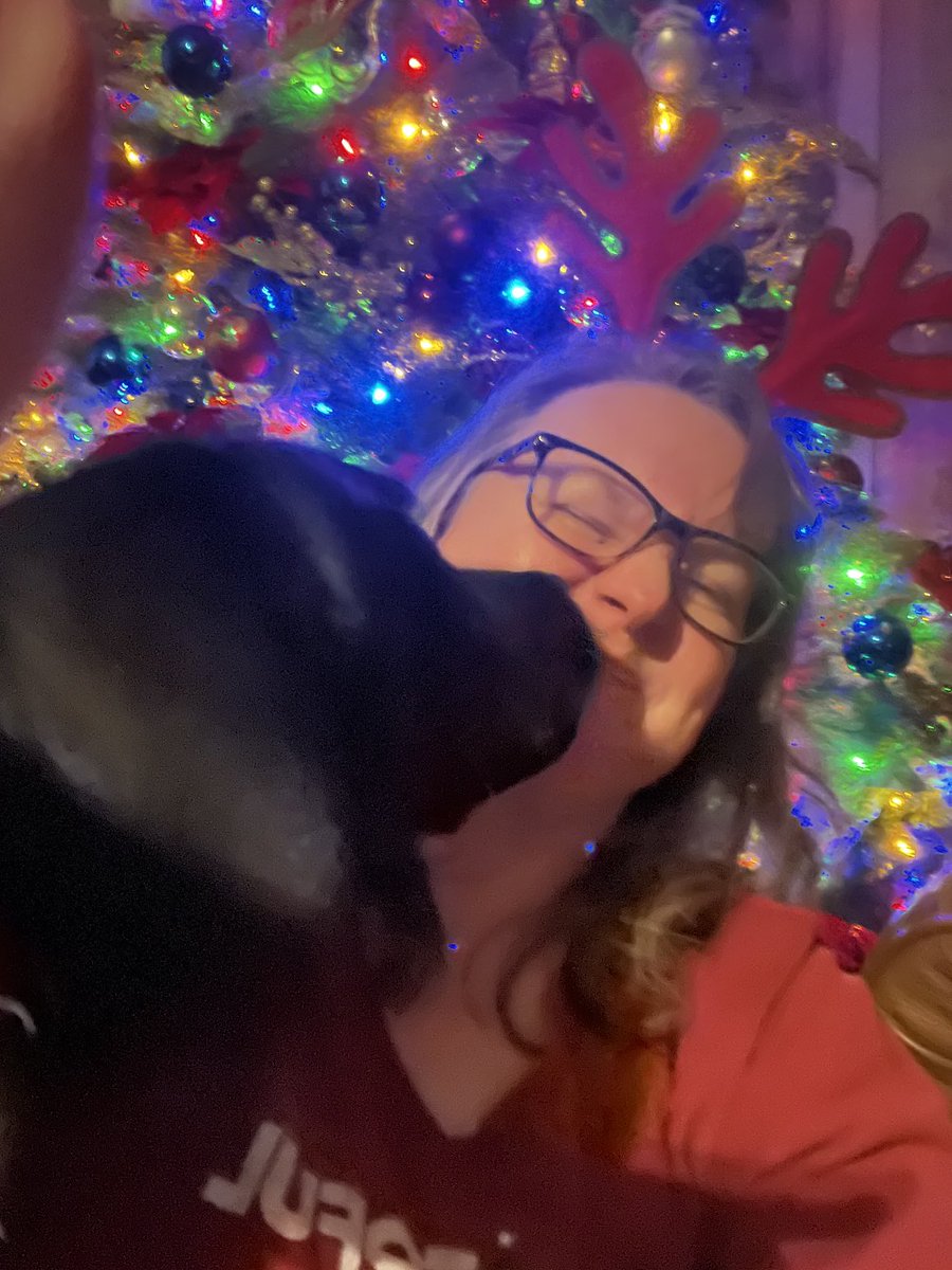 LabradorRodeo's tweet photo. Merry #FirstDayOfChristmas from me and Joey the Selfie Ruiner https://t.co/LGKicQhW46