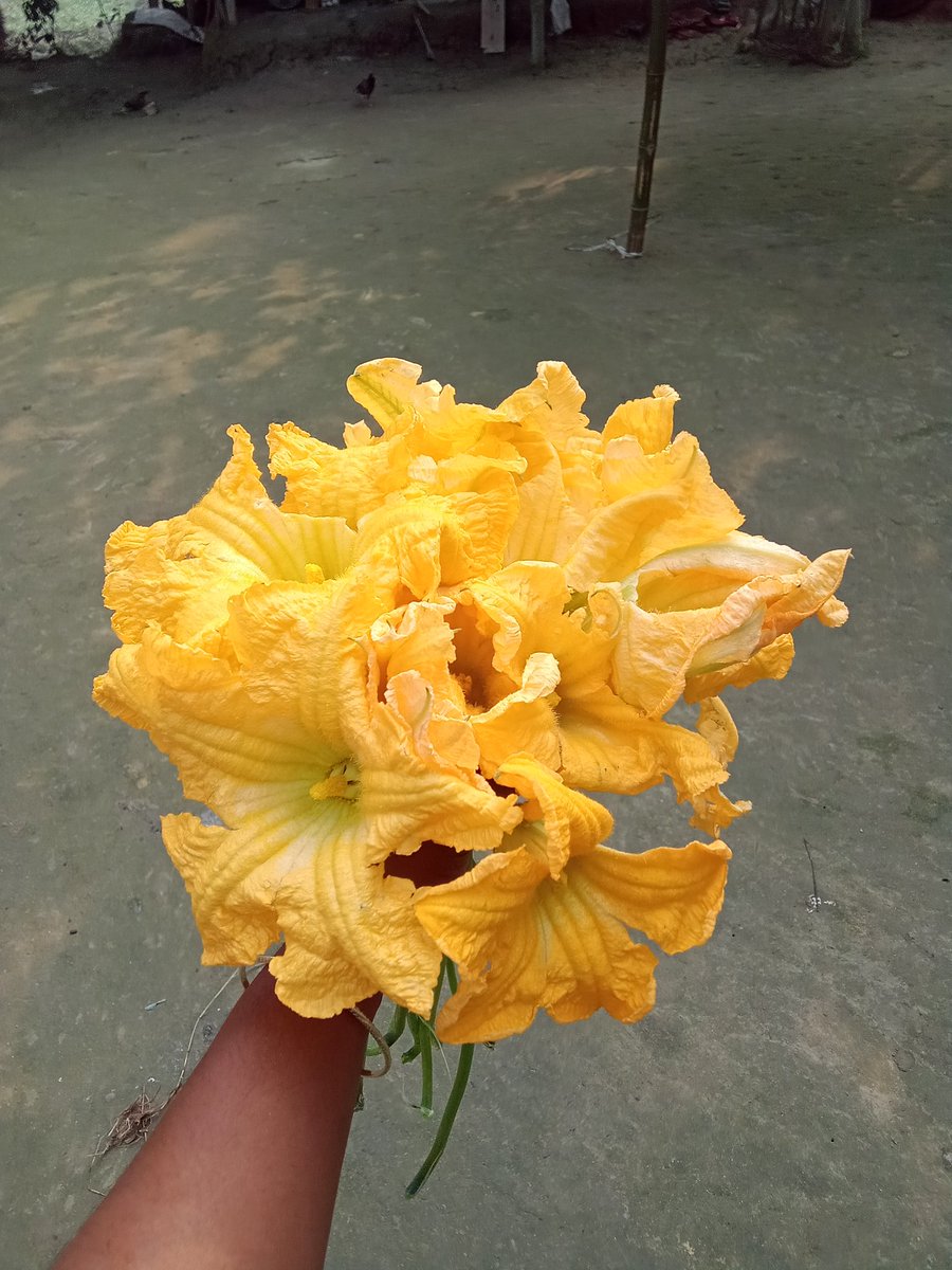 taskiy2's tweet image. 