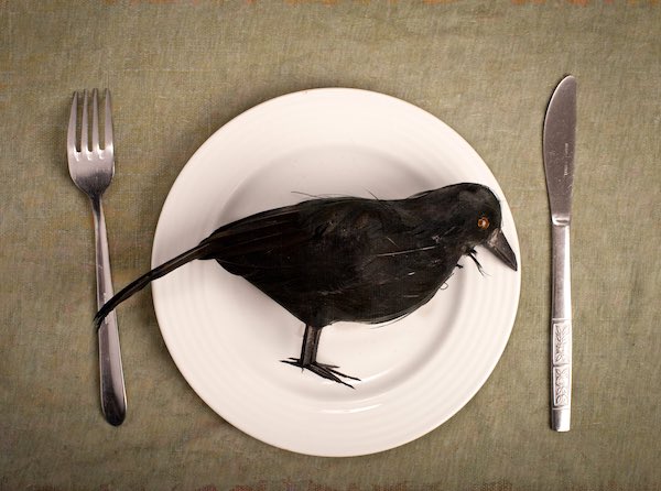 DylHammy's tweet photo. A good look at @Pooshdaddy christmas dinner! @KVanValkenburg @BigRandyNLU https://t.co/hpxIhAmBg2