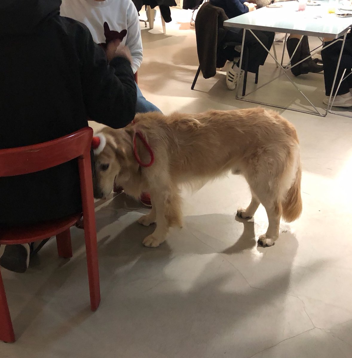 jieun (@banyi_e) on Twitter photo 