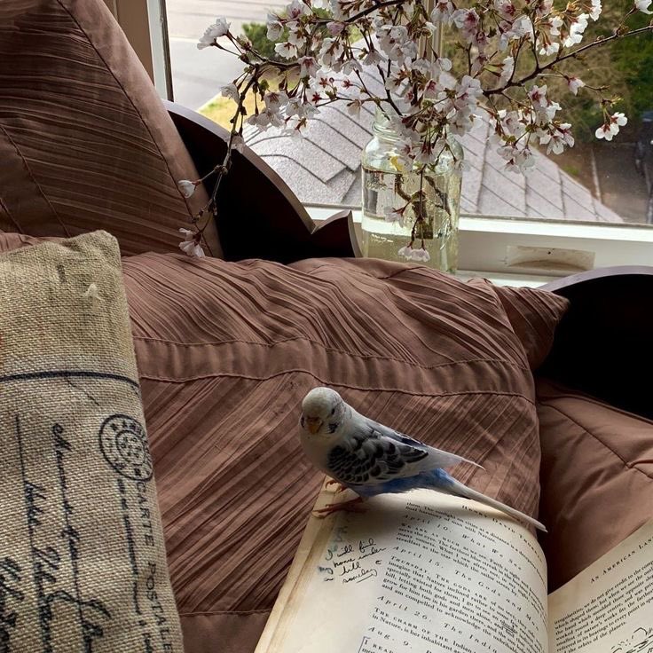 Step into my chamber and let the song of our offerings blend seamlessly with the serenade of the birds. Here, the inks becomes an art and just as birds find their perfect perch, I invite you to find your masterpieces here!