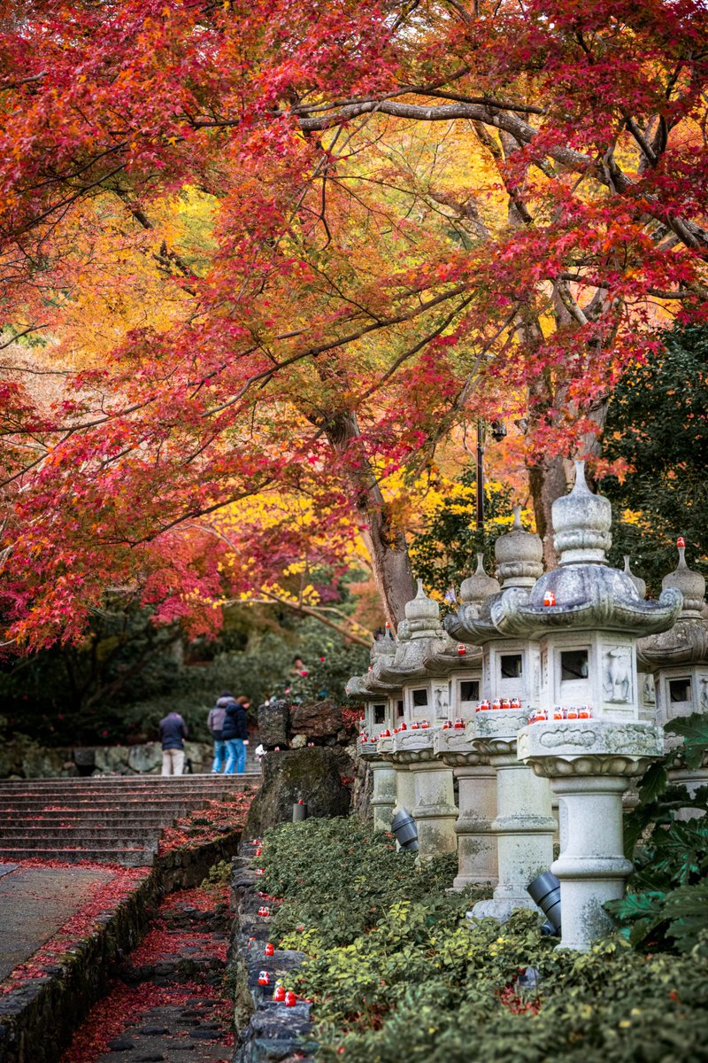 richthofen4503's tweet photo. 勝尾寺 https://t.co/zj5FmAreMN