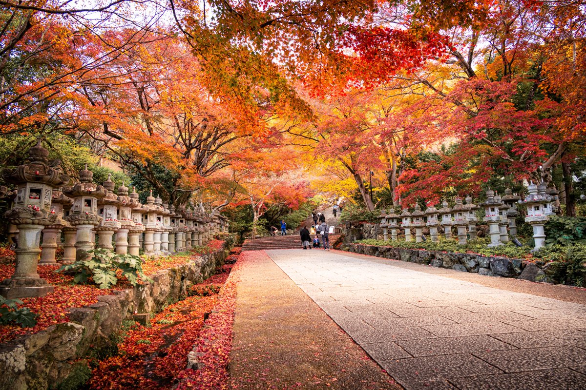 richthofen4503's tweet photo. 勝尾寺 https://t.co/zj5FmAreMN