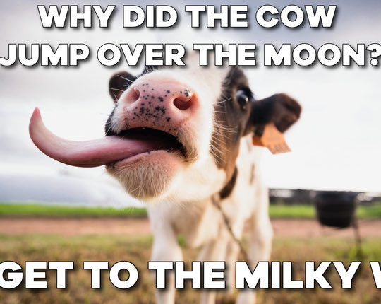 DegenSolCows's tweet photo. https://t.co/K9gfFZvgR4