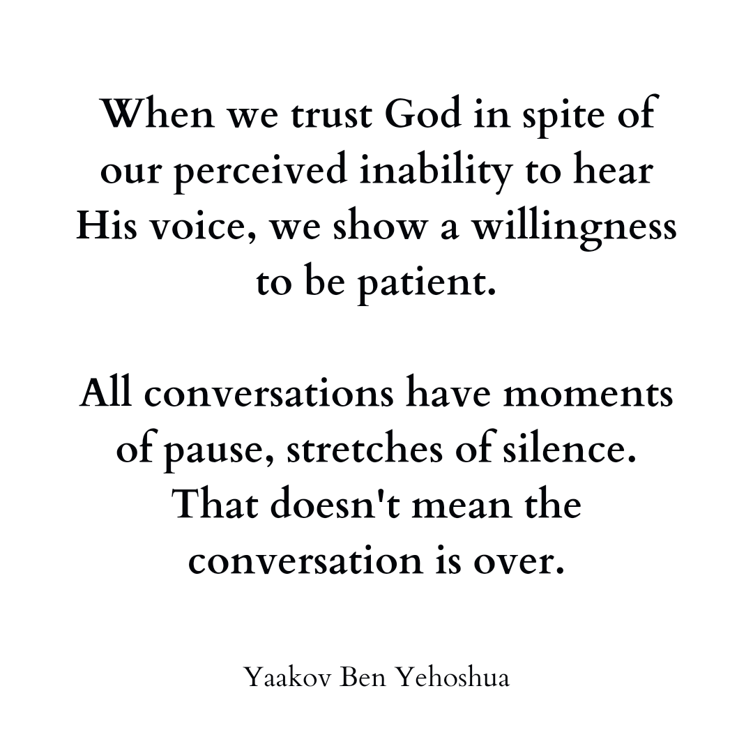 #yaakovbenyehoshuaquotes #yaakovbenyehoshua #trust #hearinggod #hear #listen #perceive #conversation #prayer #god #messiah #yeshua #patience #pause #silence #voice #godsvoice