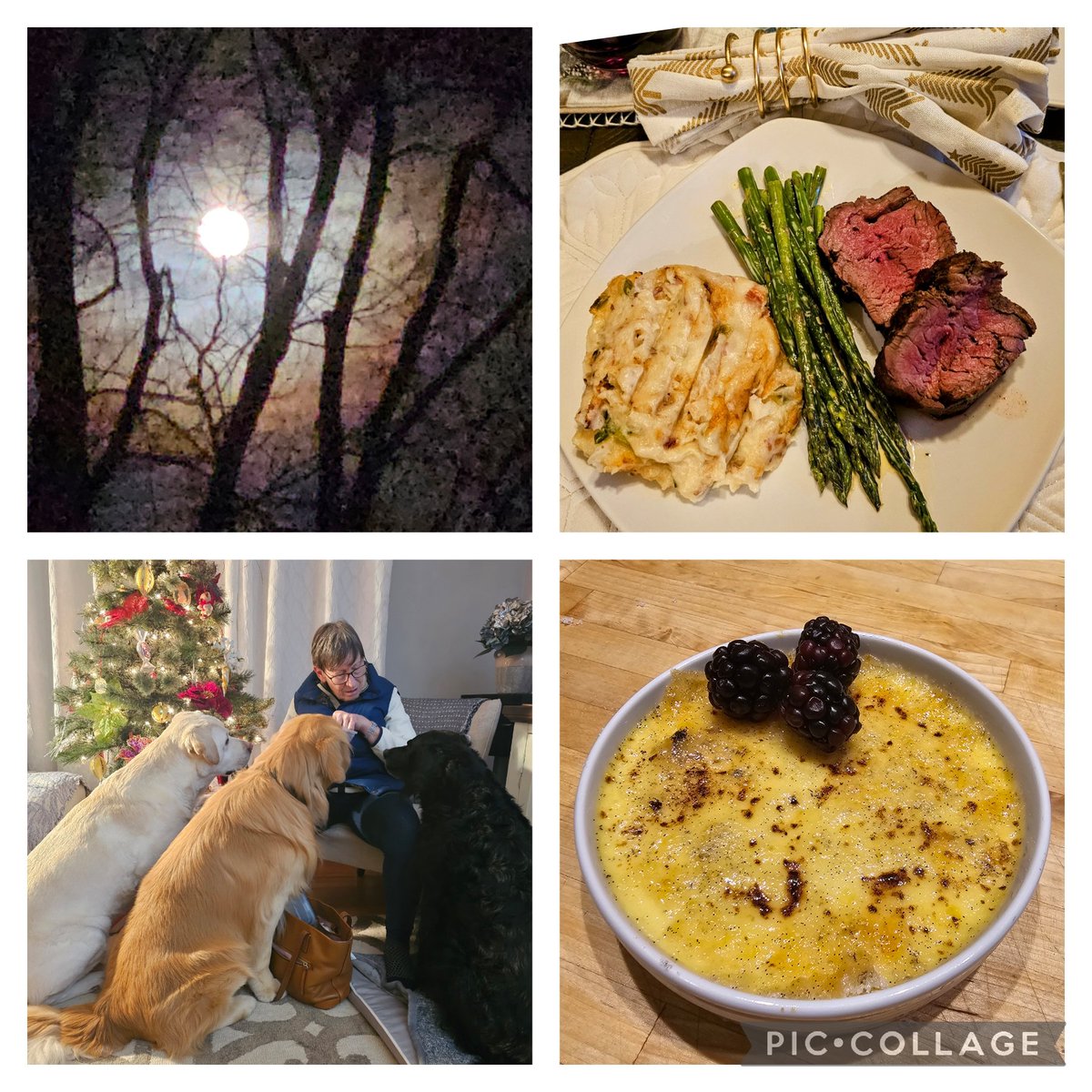 Wishing all a very Merry Christmas!

Spent the day relaxing, enjoying a delicious meal, with 3 pups and their humans.