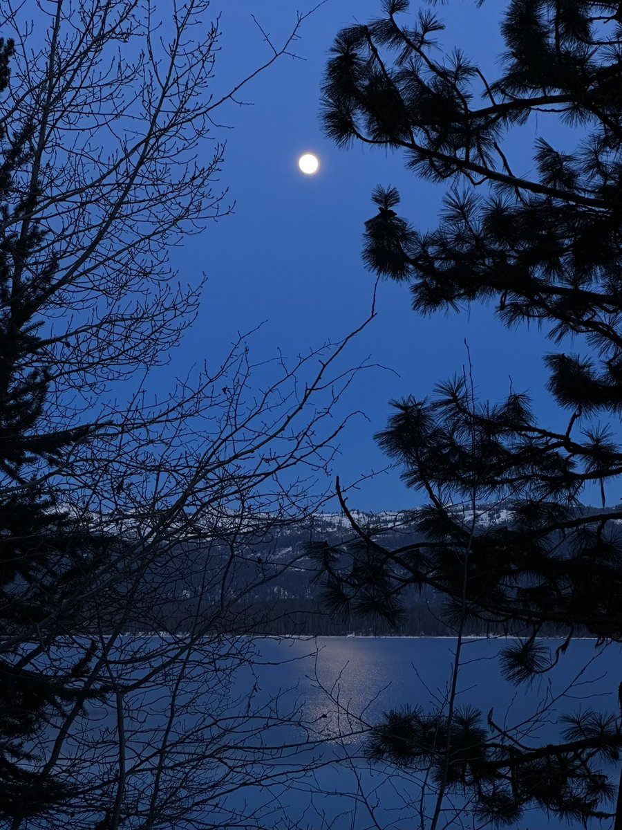 memphis_tom's tweet photo. Nearly #fullmoon (that’s tomorrow) rising over #payettelake #mccallidaho https://t.co/n2S6V3VlSW