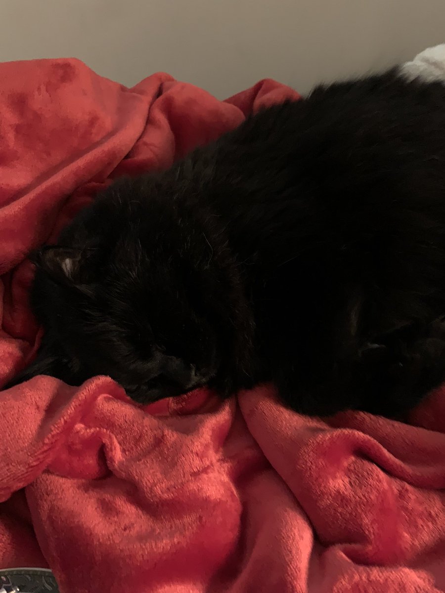 The best Christmas presents are beds!