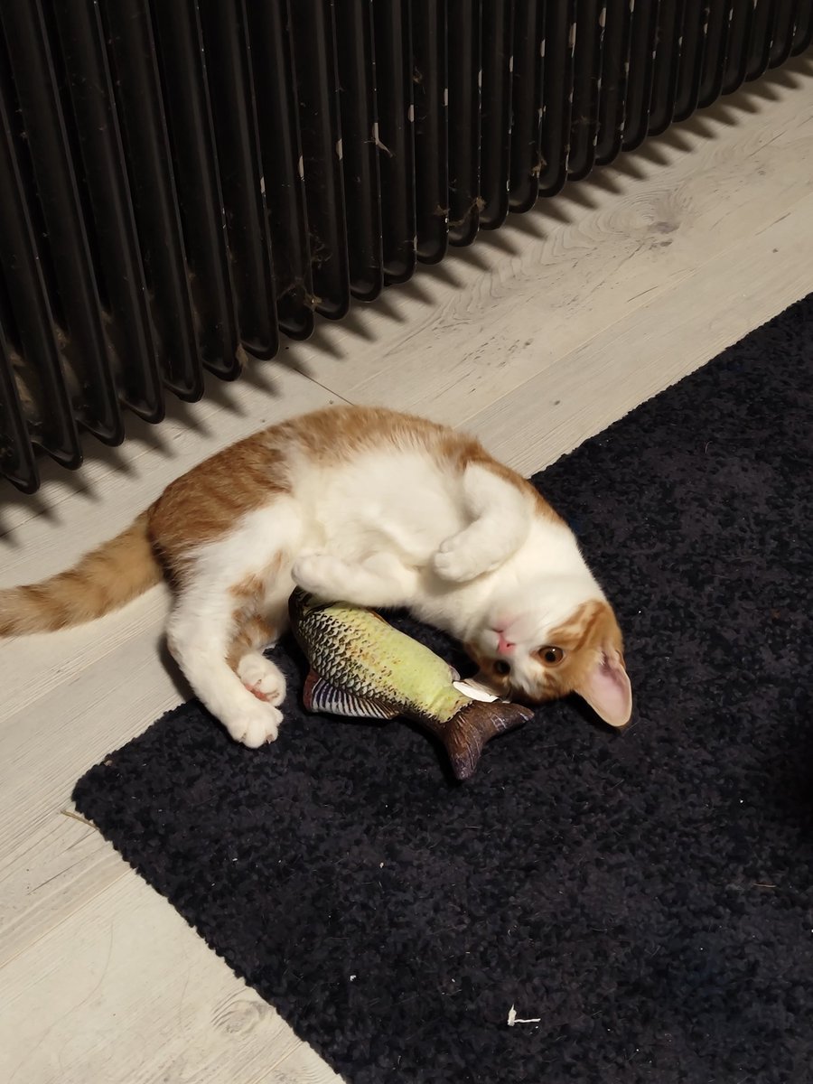 Slightly late Merry Christmas 🎄🎁