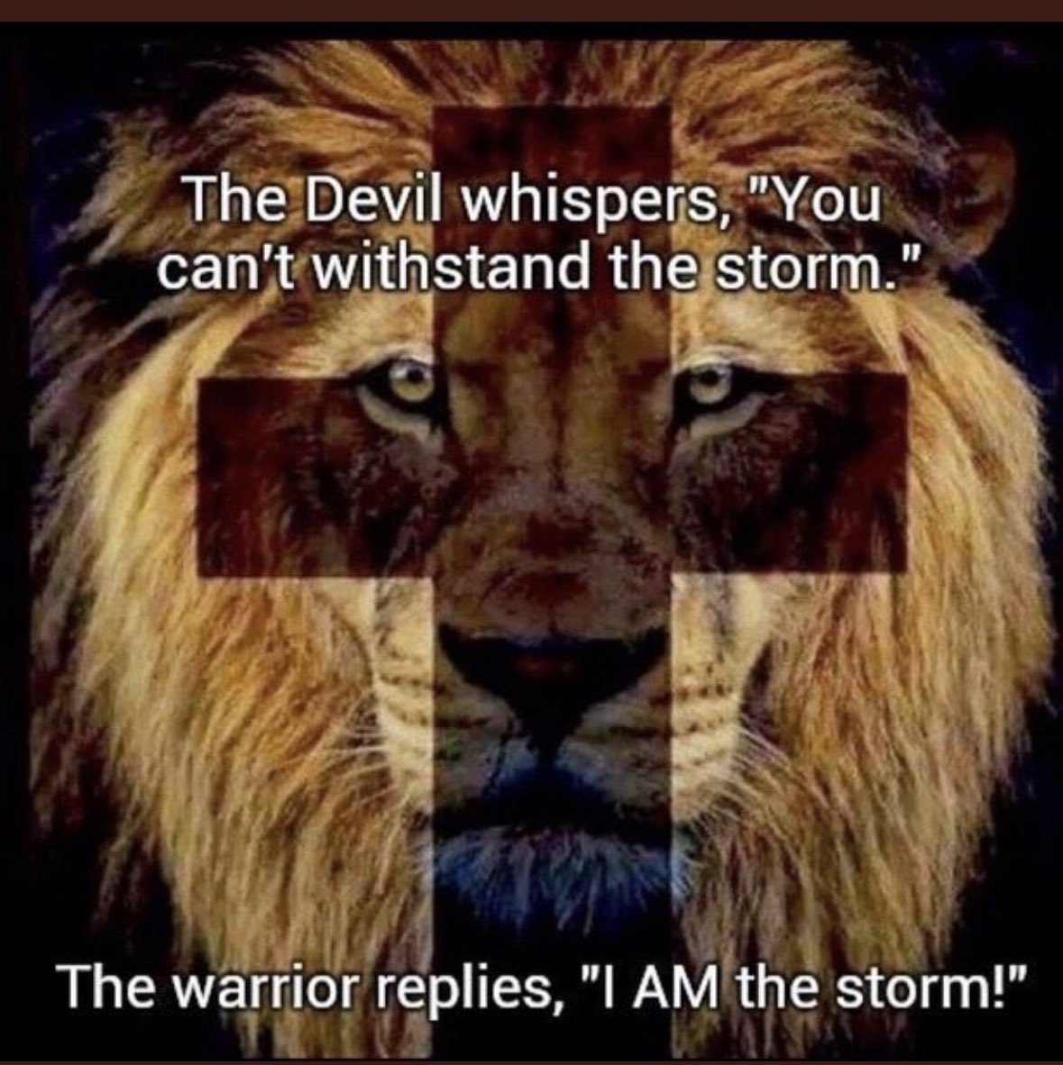 R Womack ✝️❤️🇺🇸 tweet media