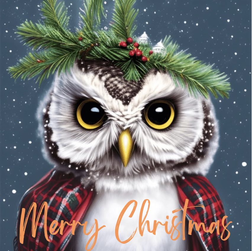 Happy Holidays Owl Nation 

#BlueCollarOwlStandard #CHouse #CitrUS #TheNest🦉🦉🦉