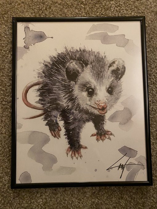 My mom got me this hand drawn picture of a possum bc &ldquo;it looks like you&rdquo; https://t.co/tqLteRen3X
