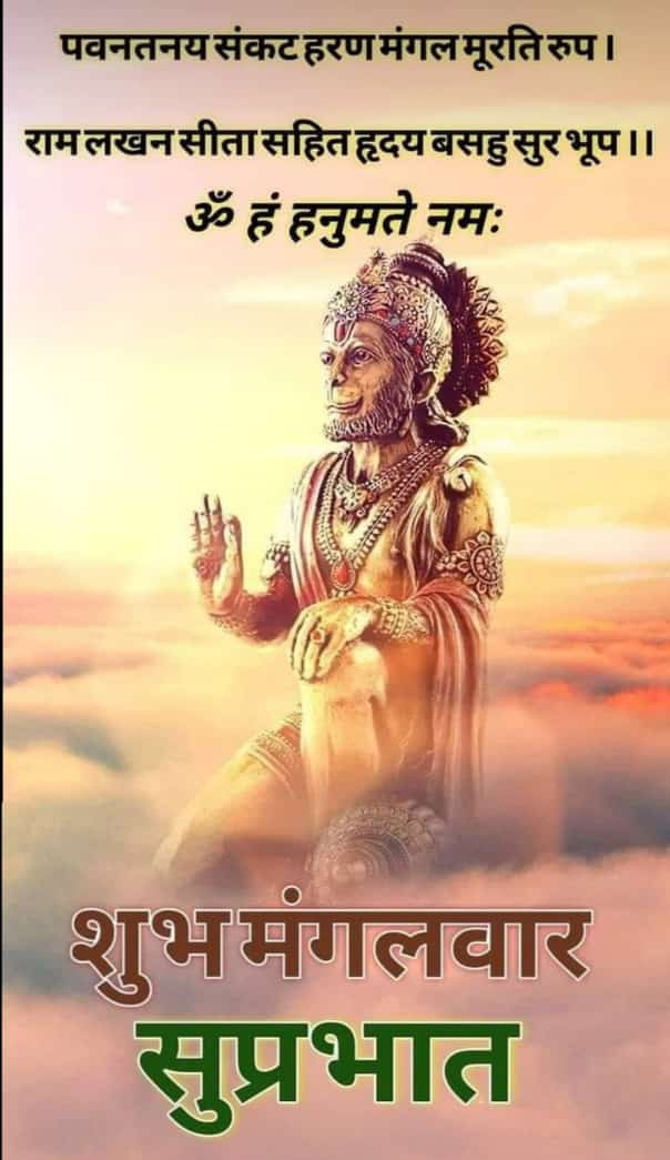 satyendrrai2's tweet image. पवन तनय संकट हरण मंगल मूरति रुप, राम लखन सीता सहित हृदय बसहु सुरभूप।जय श्री सीताराम, ऊँ हं हनुमते नमः।सादर प्रणाम शुभप्रभात🙏🌹🙏