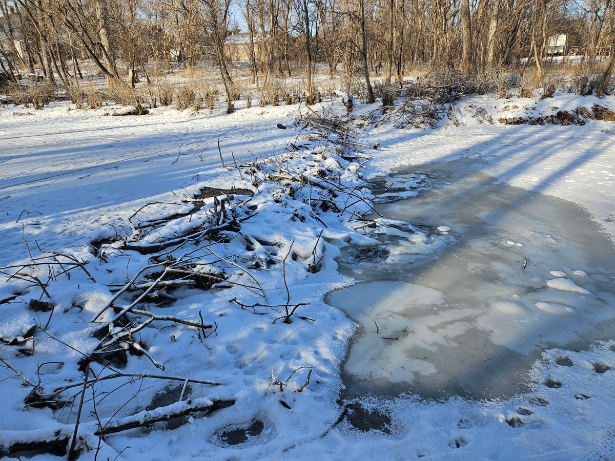 Came across this amazing beaver dam on The Seine River   #ChristmasWalk  #KeepOnMoving #OldStVital #StBoniface