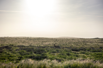 Certain investment advice might seem obvious today as the bull run creeps nearer, but never forget it could that the advice could age poorly, like those pushing LUNA and rock JPGs during the previous bull run.