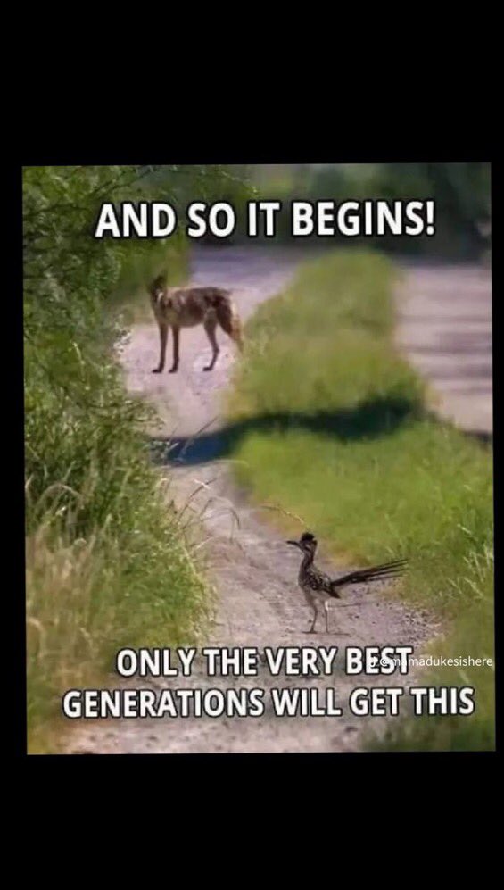 Muddy Roads tweet media