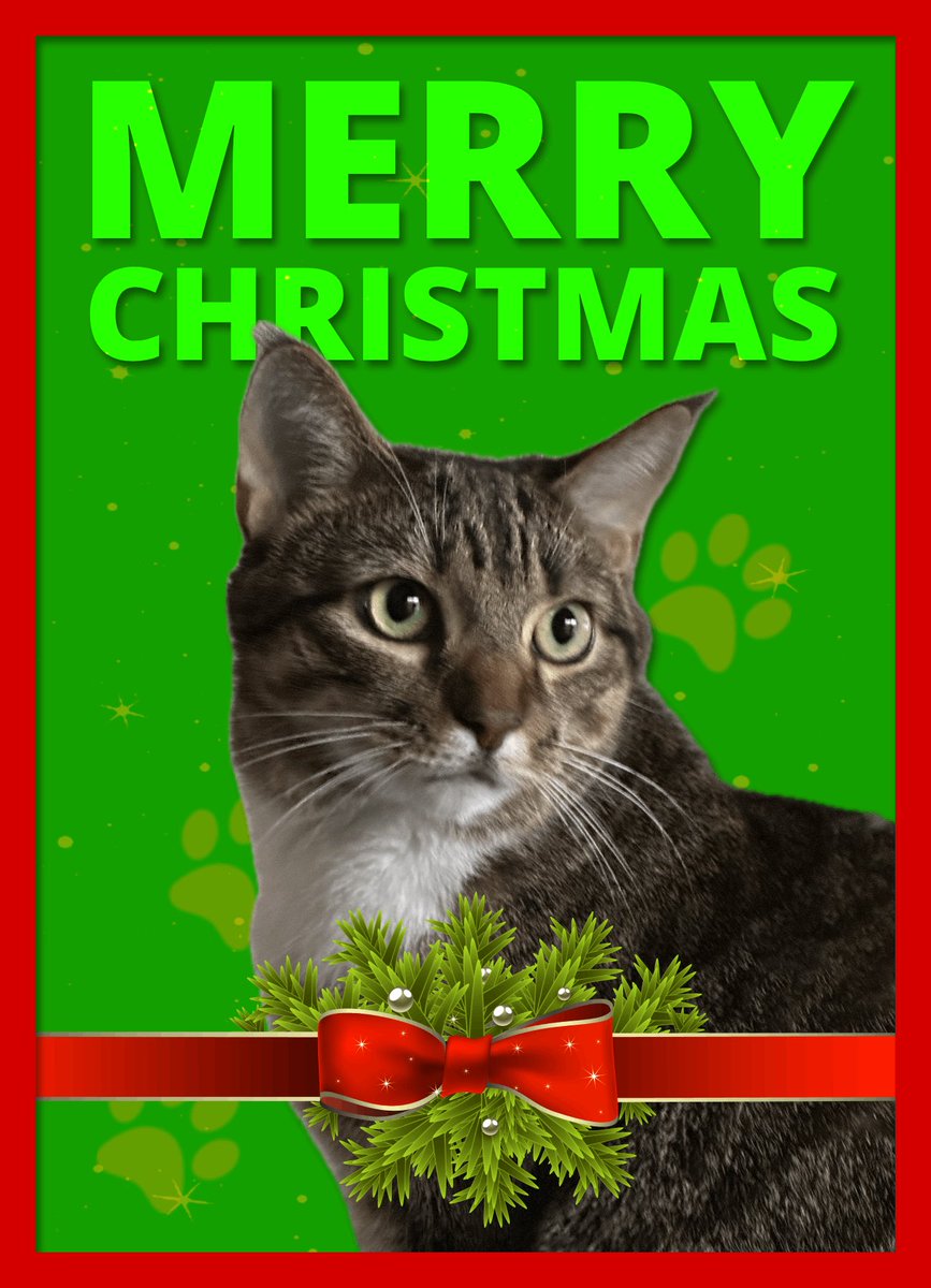 CHUMBAG HQ tweet media