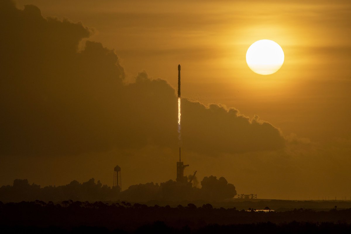 SpaceX tweet picture