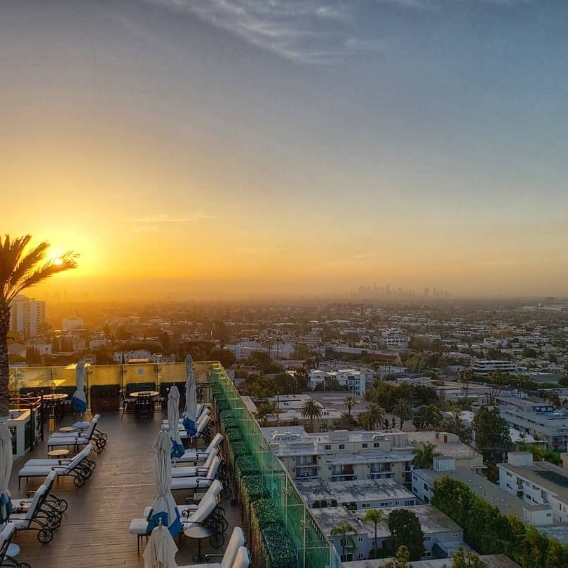 The London WeHo (@thelondonweho) on Twitter photo Happy Holidays from sunny Los Angeles ☀️🌴 Happy Holidays from sunny Los Angeles ☀️🌴