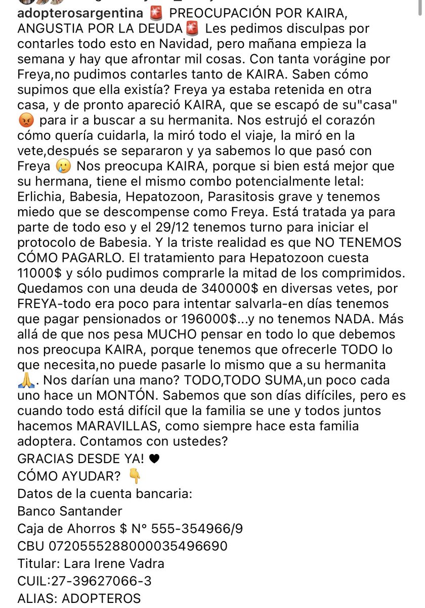 Adopteros Argentina tweet media