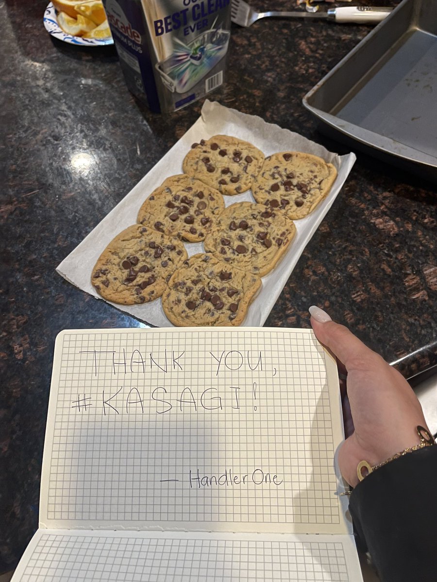 2 — bake/cook something Christmas-themed

#KasagiHolidayBucketlist #Kasagi #I2W