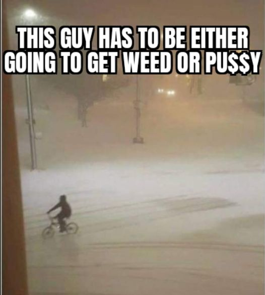 weedlings73's tweet photo. https://t.co/66ihhSmus4