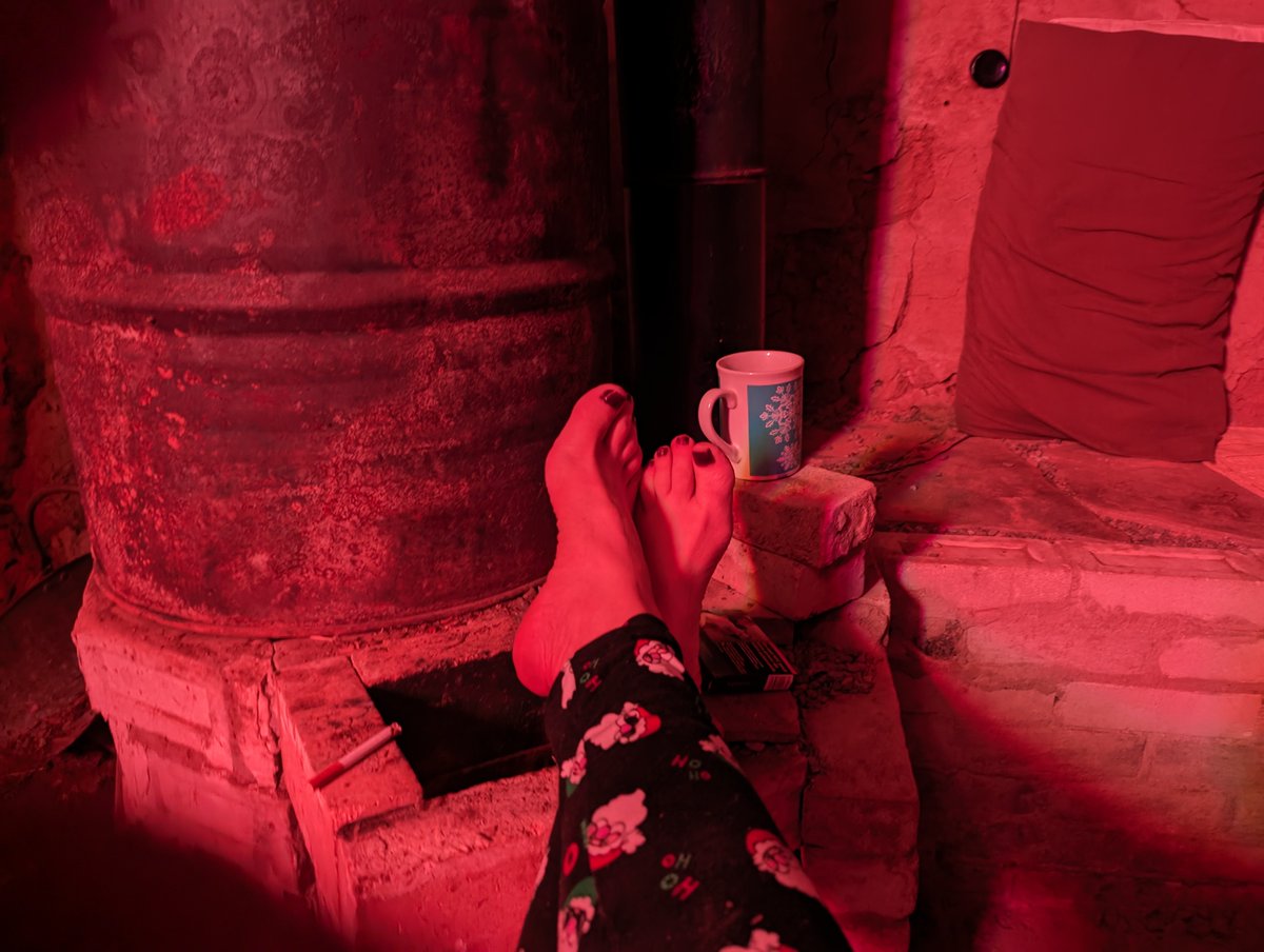 🎉🎁🥂 Joyeuses Fêtes!

Happy holidays! 🎉🎁🥂

#terraperma #vieenforêt #forestlife