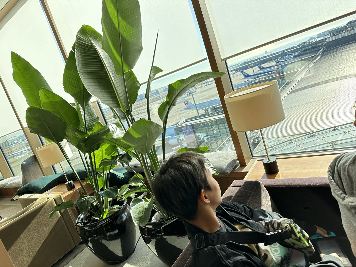 木原 良輔 tweet media