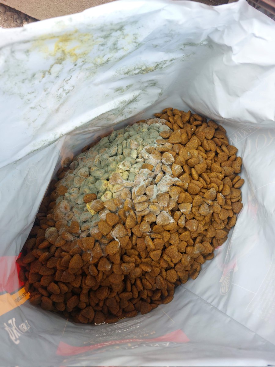 Franco Sanchez tweet media