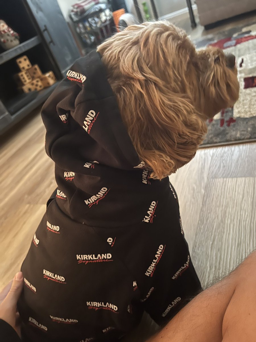 𝐓𝐀𝐋𝐎𝐍𝐒 (@iamtalons) on Twitter photo 