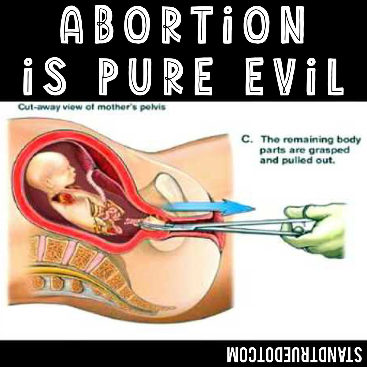 Bryan Kemper 🇺🇸 (@bryankemper) on Twitter photo 