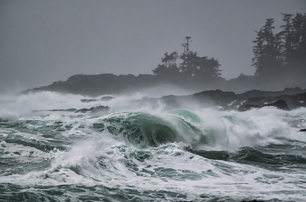 davidlmccolm's tweet photo. Merry Christmas from the currently wet'n wild west coast of Vancouver Island #ucluelet #BC https://t.co/QXtclsUFvR