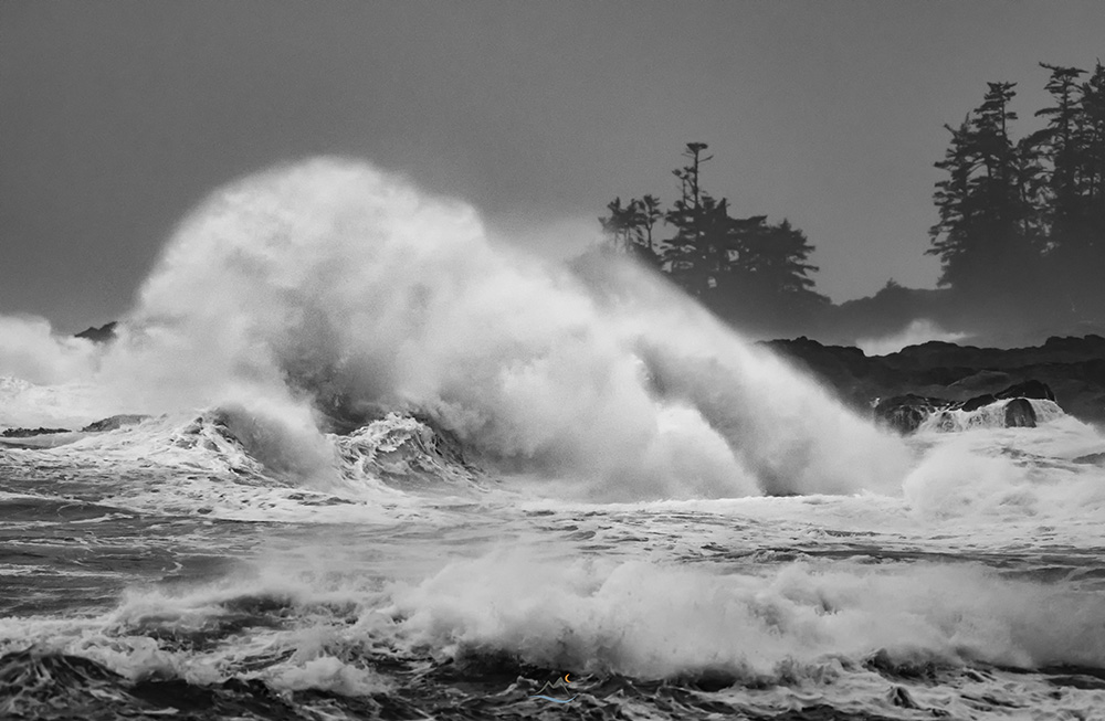 davidlmccolm's tweet photo. Merry Christmas from the currently wet'n wild west coast of Vancouver Island #ucluelet #BC https://t.co/QXtclsUFvR
