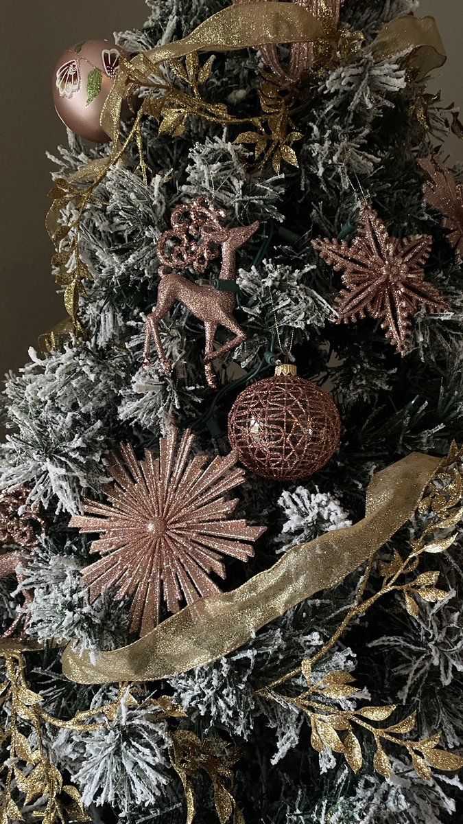 Merry Christmas #MerryChristmas