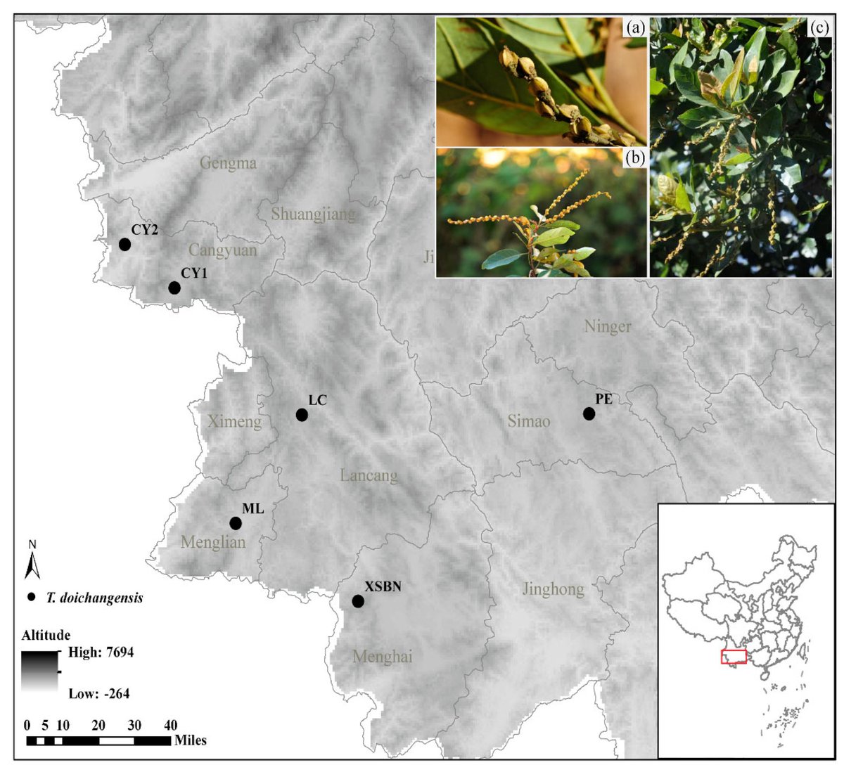 DiversityMDPI's tweet image. 👏2022 High-Cited Paper from
@DiversityMDPI
📚“Conservation Significance of the Rare and Endangered Tree Species, Trigonobalanus doichangensis (Fagaceae)”

#⃣Citations: 7
🔗mdpi.com/1424-2818/14/8…

#biodiversity; #conservation;  #geneticstructure; #Fagaceae