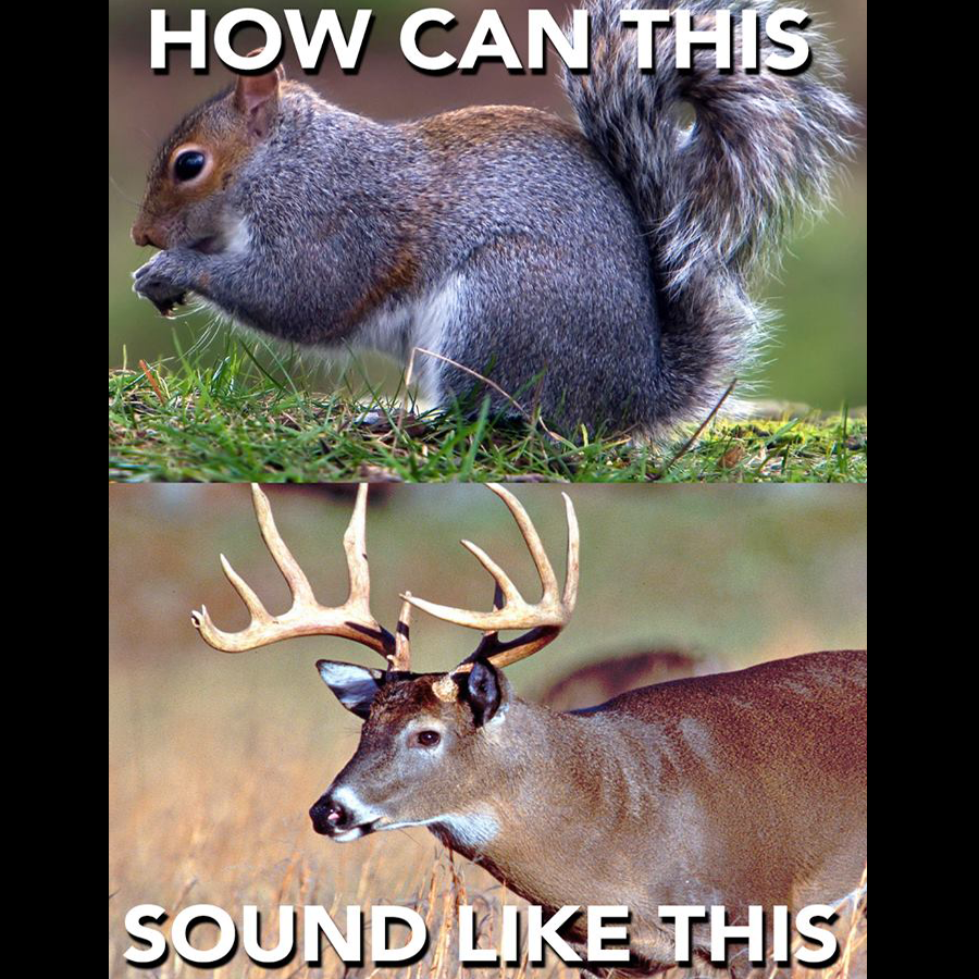 The Hunting Life (@huntinhlife) on Twitter photo 