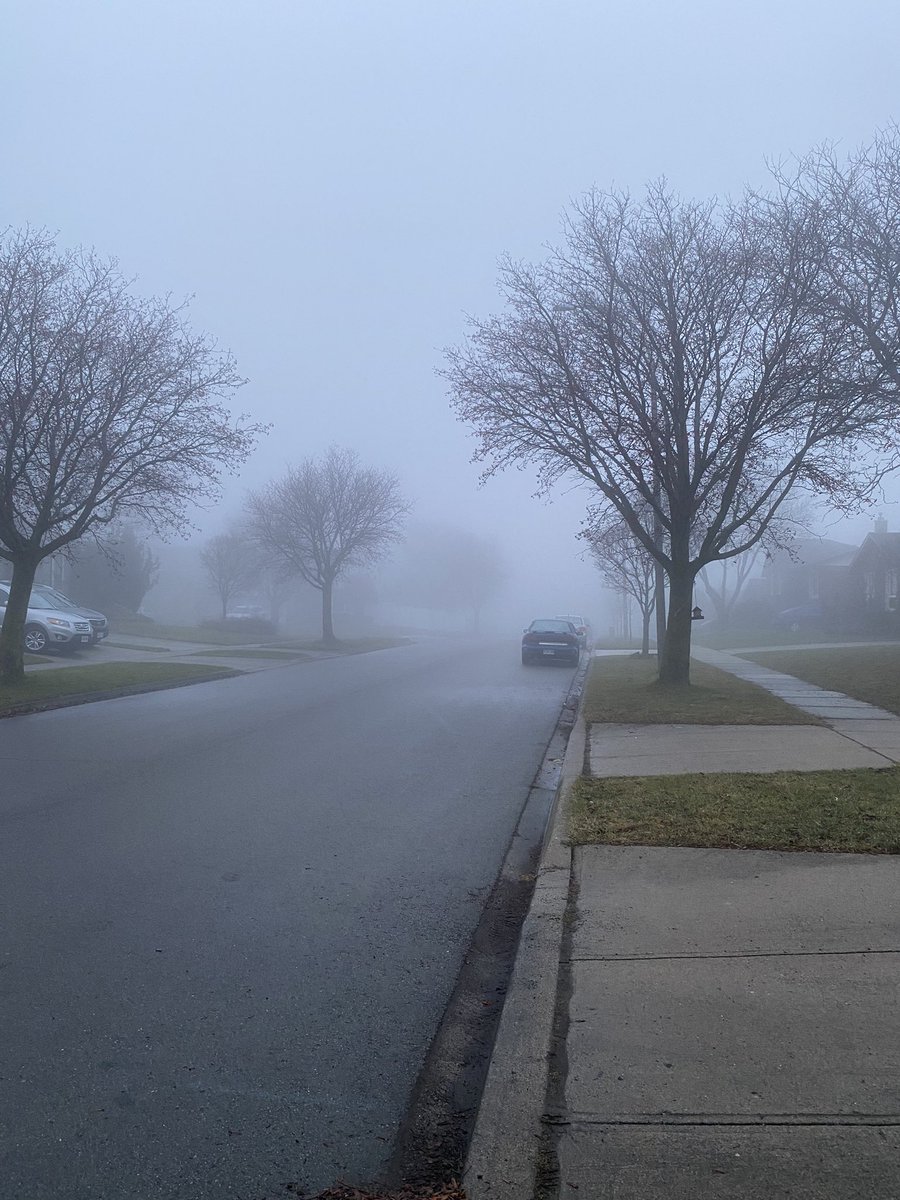 ismarkovich's tweet photo. Happy Yuletide from Barovia Village! 

(OOC: it’s been so foggy here all day, I might as well be in Barovia) https://t.co/csz8c9kFrZ