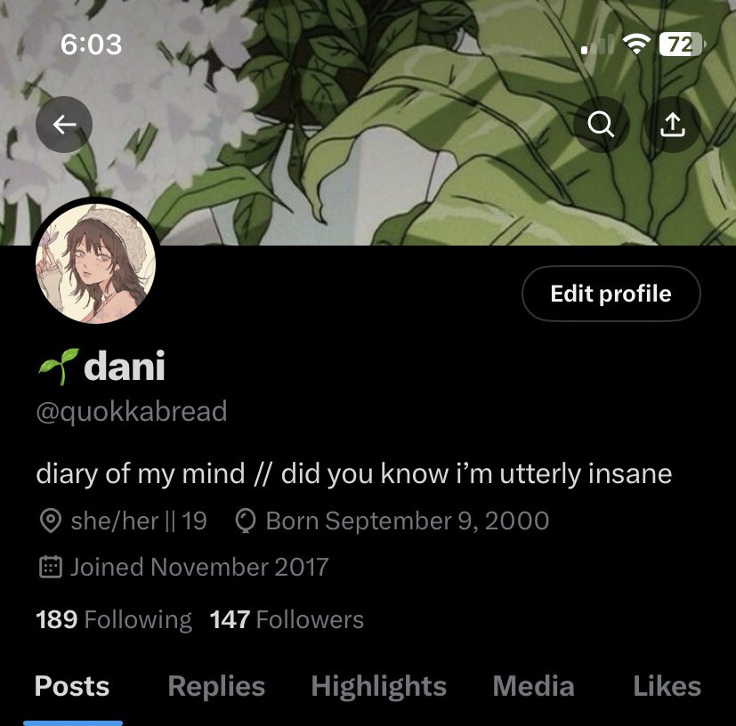 dani ☆ tweet media