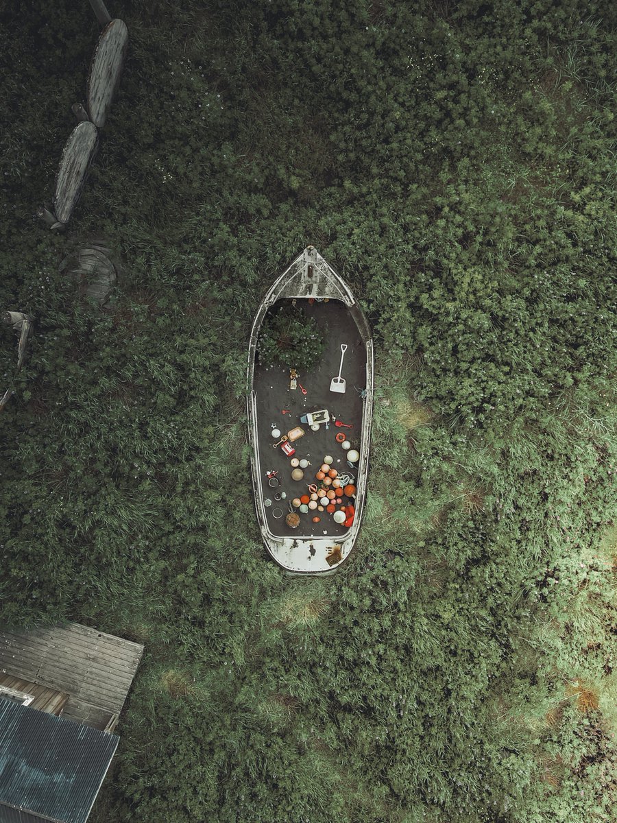 Sharing some green art, just cause…I like the color green. 💚