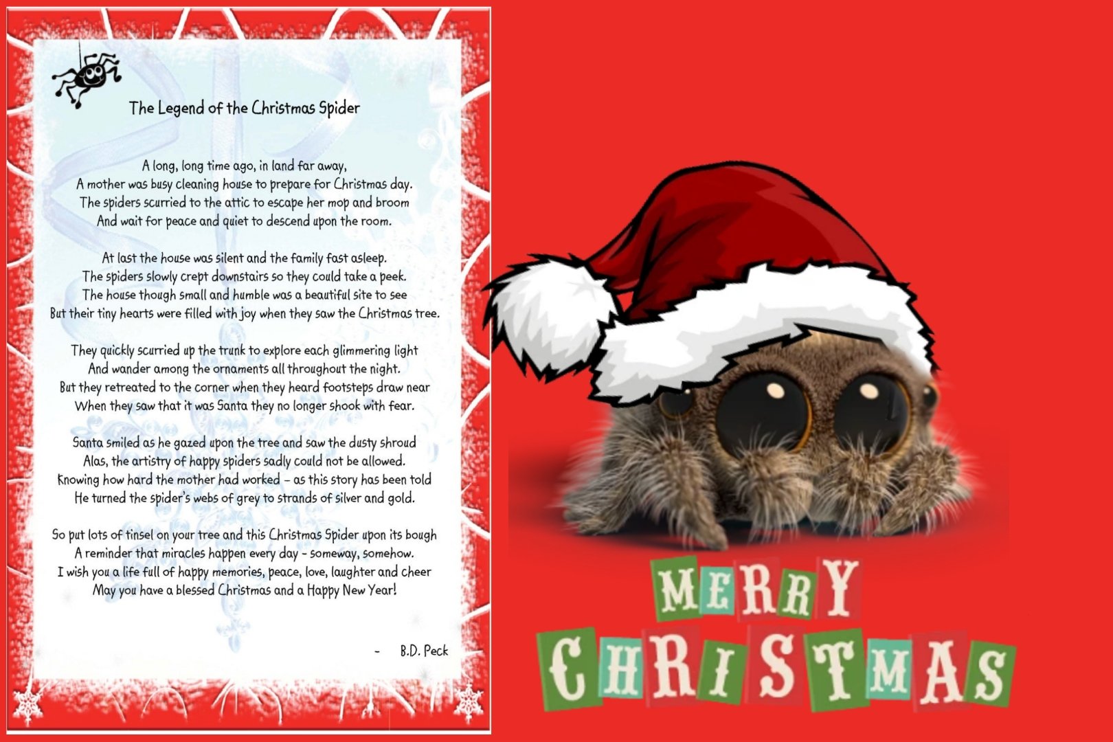 bridget-d-on-x-the-legend-of-the-christmas-spider-is-a-famous-folktale-that-originated-in-europe-somewhere-around-germany-and-ukraine-although-there-isn-t-a-clear-time-of-origin for Free Printable Christmas Spider Story Bridget D 🌸🐶🐾🐠🐟🌷 on X: