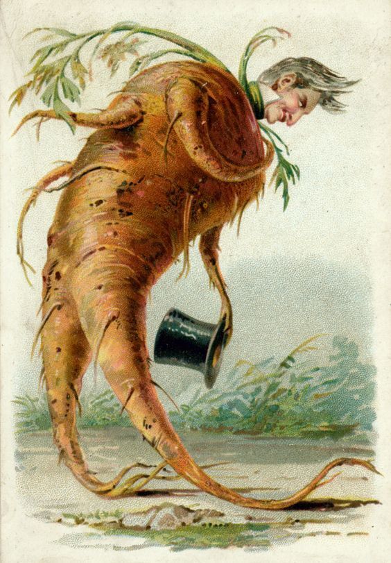 weird_christmas's tweet photo. https://t.co/DnfrEaXQpM