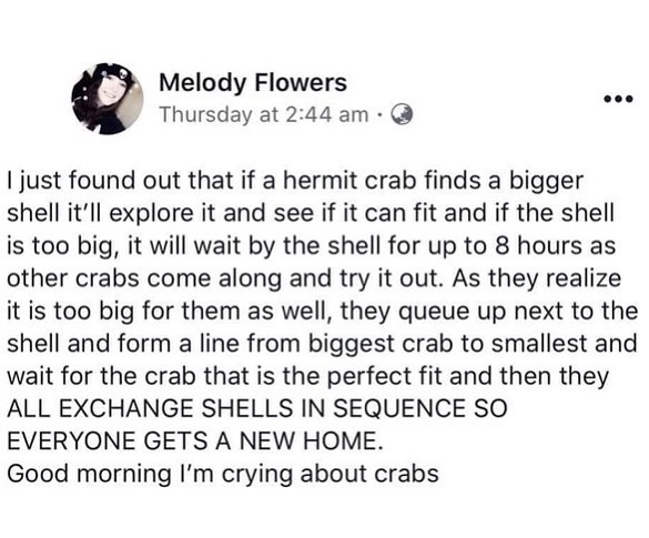 Eric Alper 🎧 tweet media