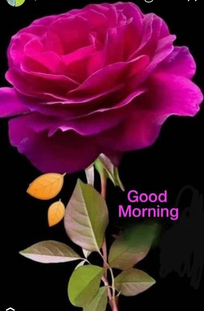 Goodmorning